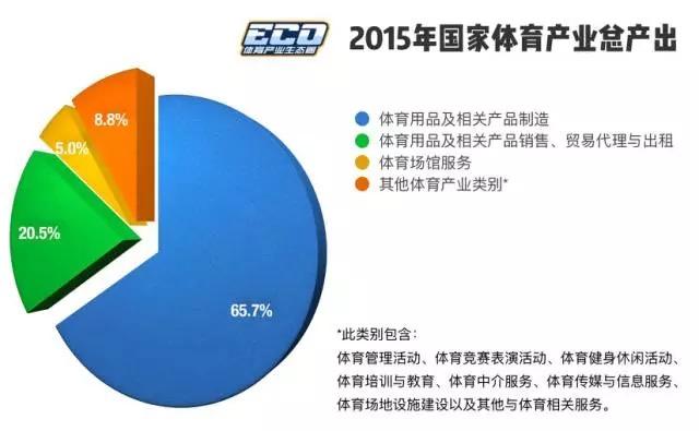 德国vs波兰技术统计，一场数据背后的真实较量